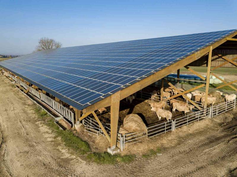 bétail et photovoltaïque pour construction gratuite